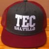 Gorra de Malla – Burros Pardos Tec Saltillo 2