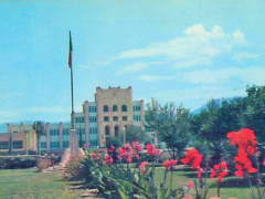 Ateneo Fuente desde los jardines del Tec