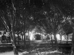 La Calzada de los Baños 2