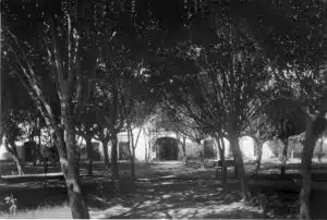 Leyendas de Terror en Saltillo 16