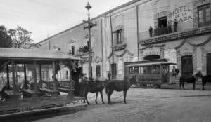 Sistema de Transporte Jalado por Mulas en Saltillo 10