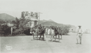 Vendedor de Leña en Saltillo durante 1935 5