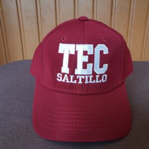 Gorra Cerrada - Burros Pardos Tec Saltillo