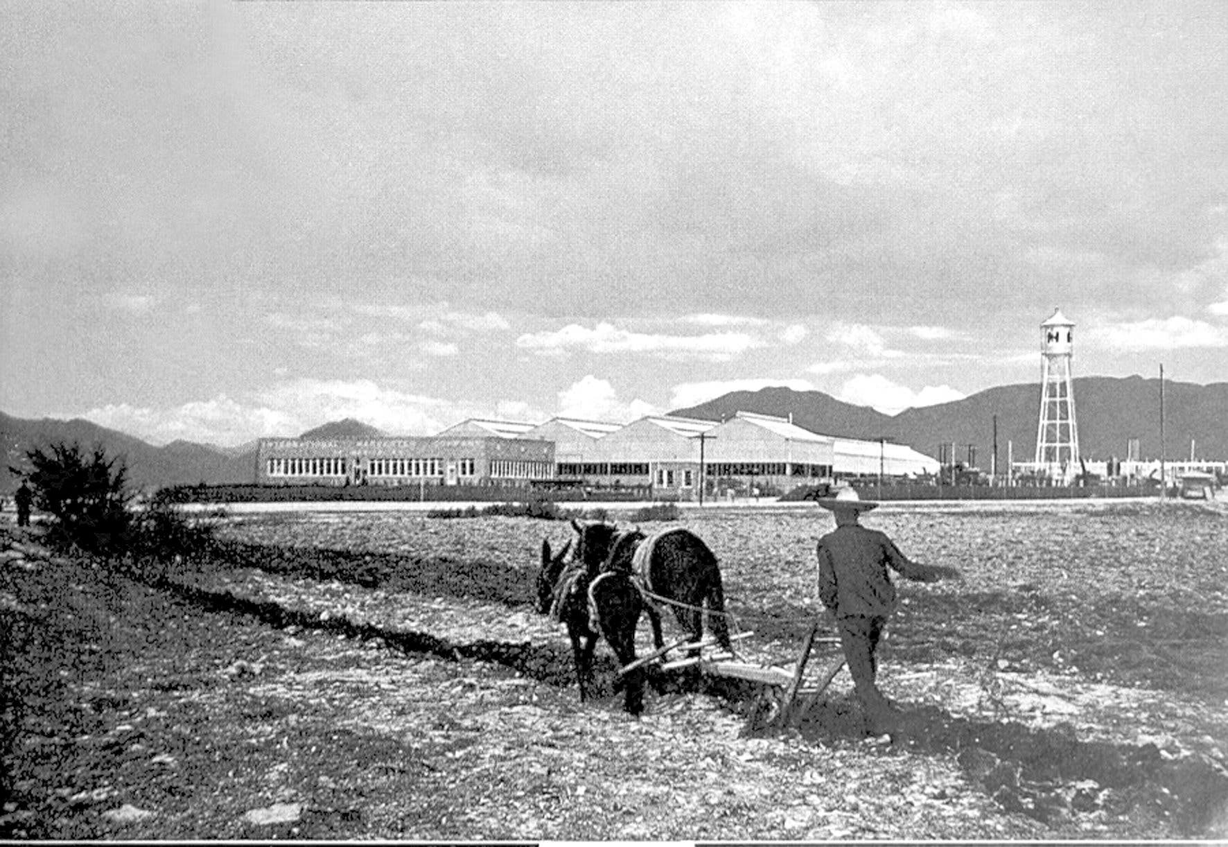 La International Harvester en Saltillo 2