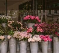 Florerias en Saltillo