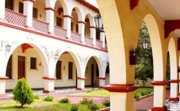 Servicios en Saltillo 1