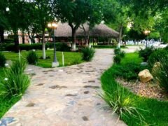 Palapa JDF