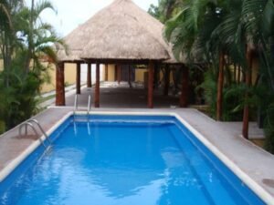 Palapas en Saltillo 7