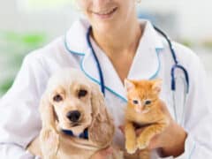 Veterinarias en Saltillo