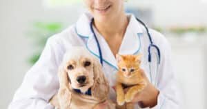Veterinarias en Saltillo 1