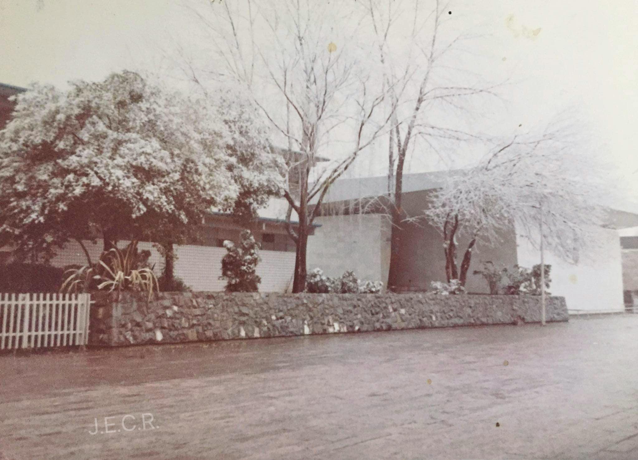 Nevada en Saltillo durante 1981 1