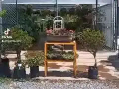 Vivero Las Palmas Saltillo