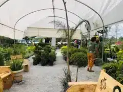 Vivero Los Olivos Saltillo