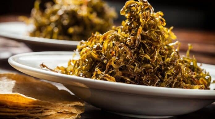 Nopalitos fritos para tacos, platillo icónico de Don Artemio en Saltillo, Coahuila
