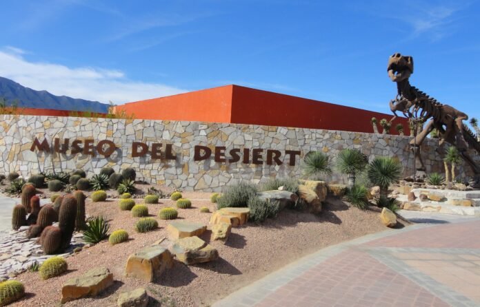 Museo del Desierto de Saltillo — atractivo turístico para visitantes del Mundial FIFA 2026