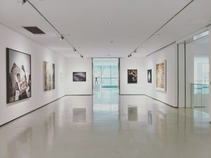 Interior de un museo de historia natural con exposición de piezas arqueológicas y naturales, museos en Saltillo Coahuila