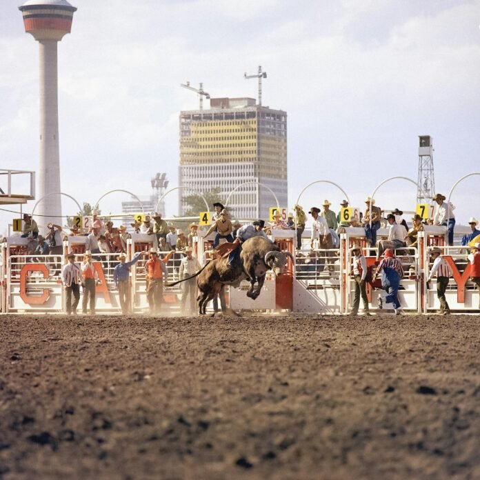 Jinete en rodeo montando un toro en un lienzo charro, tradición norteña en Saltillo, Coahuila