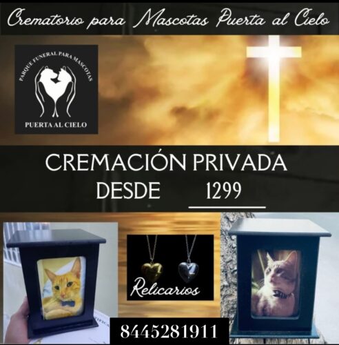 Cremación de mascotas