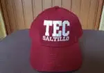 Gorra Cerrada – Burros Pardos Tec Saltillo
