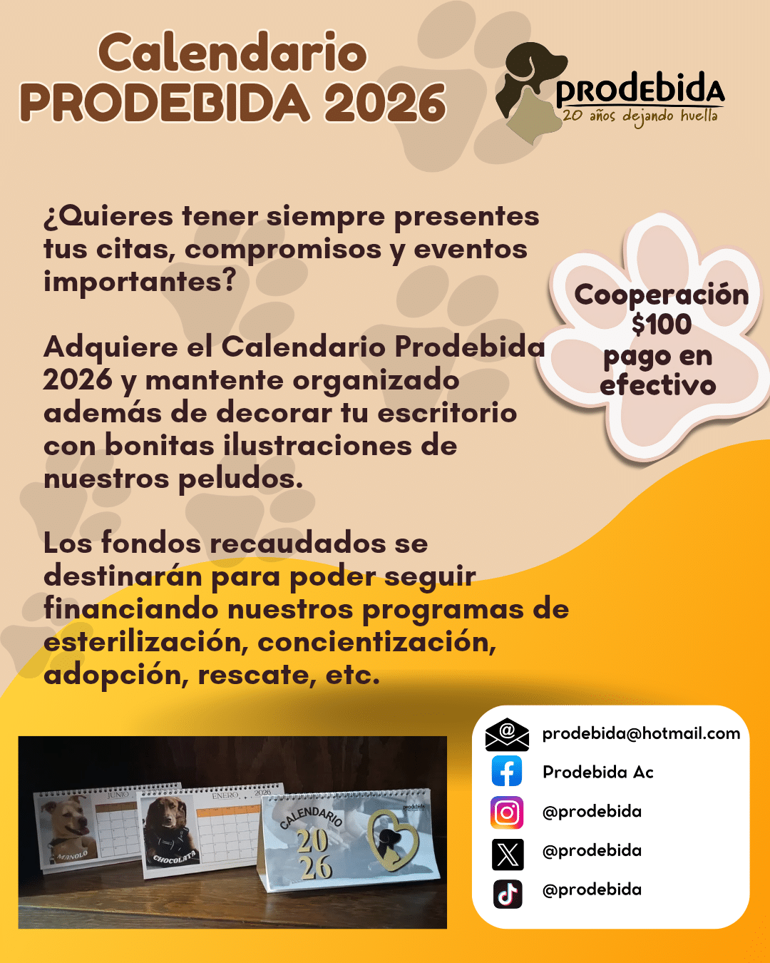 Calendario de escritorio a beneficio de Prodebida A C.