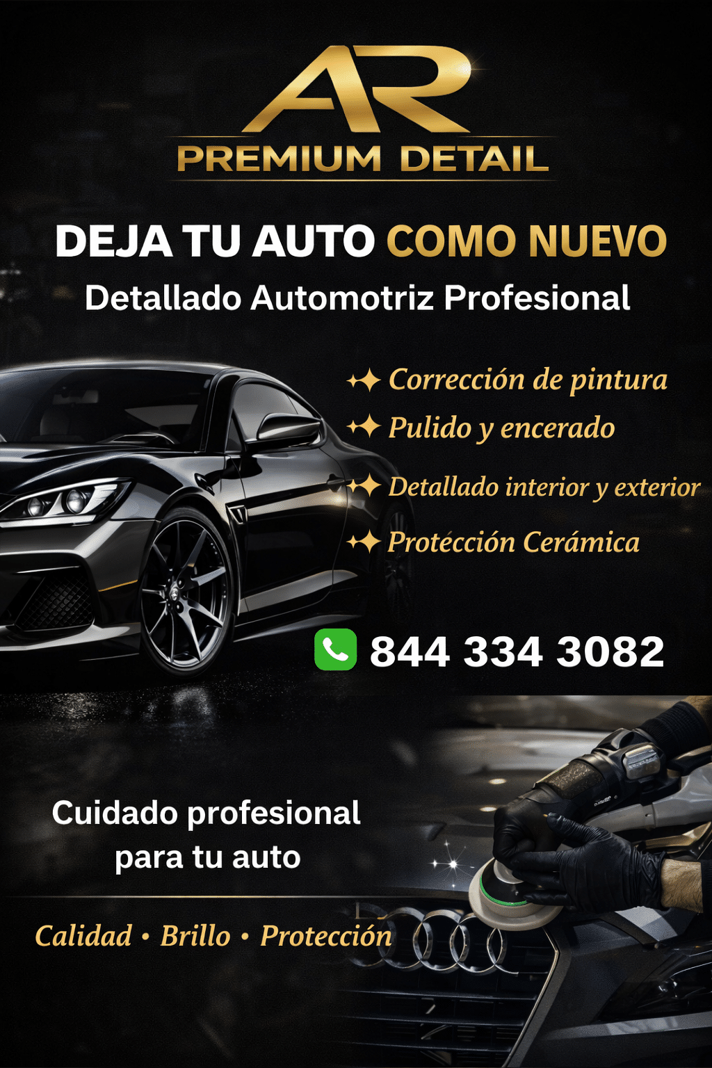 Detallado profesional Automotriz