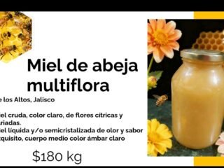 inbound8372956075251976494